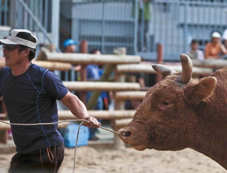 Иллюстрация к книге — Южная Корея [i_018.jpg]