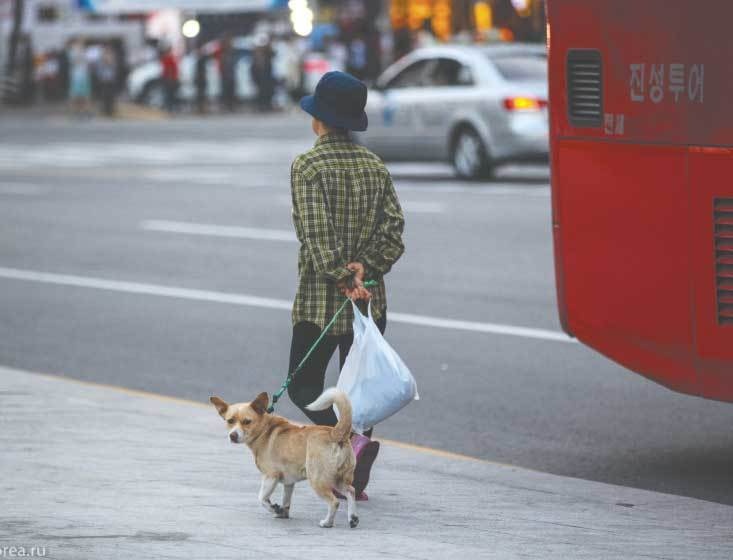 Иллюстрация к книге — Южная Корея [i_020.jpg]