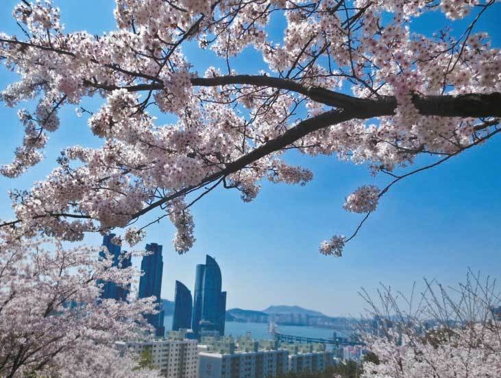 Иллюстрация к книге — Южная Корея [i_037.jpg]