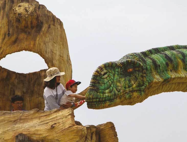 Иллюстрация к книге — Южная Корея [i_048.jpg]