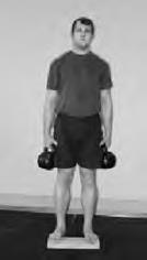 Иллюстрация к книге — Физическая подготовка квалифицированных дзюдоистов к главному соревнованию года [i_038.jpg]