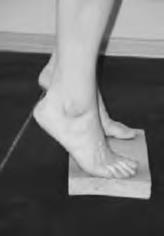 Иллюстрация к книге — Физическая подготовка квалифицированных дзюдоистов к главному соревнованию года [i_041.jpg]