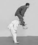 Иллюстрация к книге — Физическая подготовка квалифицированных дзюдоистов к главному соревнованию года [i_076.jpg]