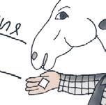 Иллюстрация к книге — Школа верховой езды для начинающих [i_005.jpg]