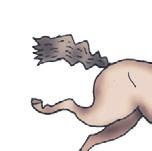 Иллюстрация к книге — Школа верховой езды для начинающих [i_012.jpg]