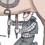 Иллюстрация к книге — Школа верховой езды для начинающих [i_021.jpg]