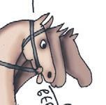 Иллюстрация к книге — Школа верховой езды для начинающих [i_028.jpg]