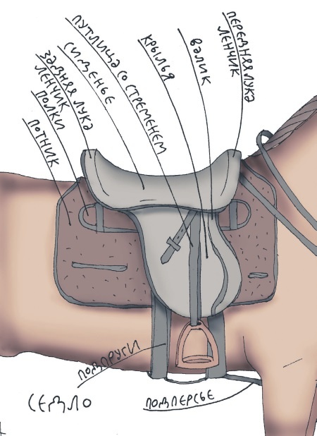 Иллюстрация к книге — Школа верховой езды для начинающих [i_032.jpg]