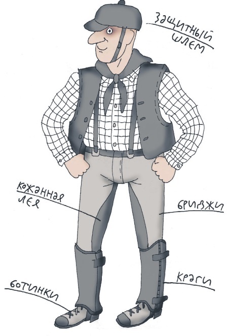 Иллюстрация к книге — Школа верховой езды для начинающих [i_037.jpg]