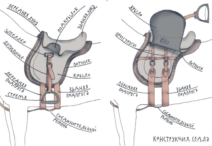 Иллюстрация к книге — Школа верховой езды для начинающих [i_038.jpg]