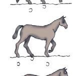 Иллюстрация к книге — Школа верховой езды для начинающих [i_040.jpg]