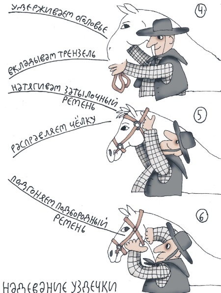 Иллюстрация к книге — Школа верховой езды для начинающих [i_043.jpg]
