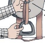 Иллюстрация к книге — Школа верховой езды для начинающих [i_045.jpg]