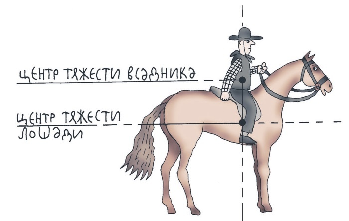 Иллюстрация к книге — Школа верховой езды для начинающих [i_047.jpg]