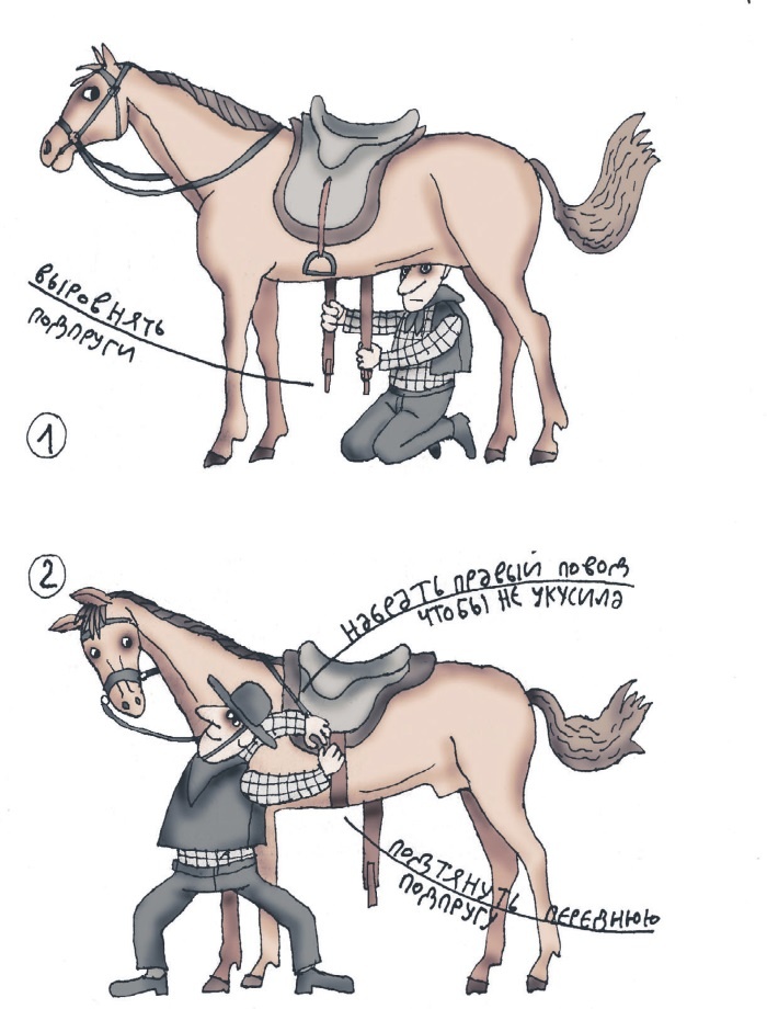 Иллюстрация к книге — Школа верховой езды для начинающих [i_048.jpg]