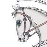 Иллюстрация к книге — Школа верховой езды для начинающих [i_051.jpg]