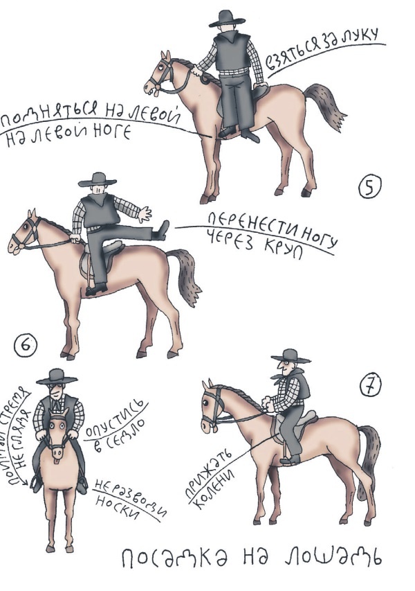 Иллюстрация к книге — Школа верховой езды для начинающих [i_057.jpg]