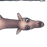 Иллюстрация к книге — Школа верховой езды для начинающих [i_060.jpg]