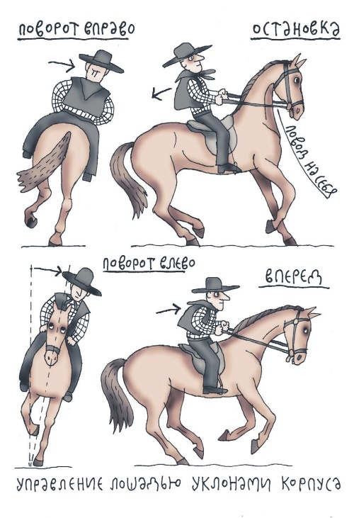 Иллюстрация к книге — Школа верховой езды для начинающих [i_069.jpg]