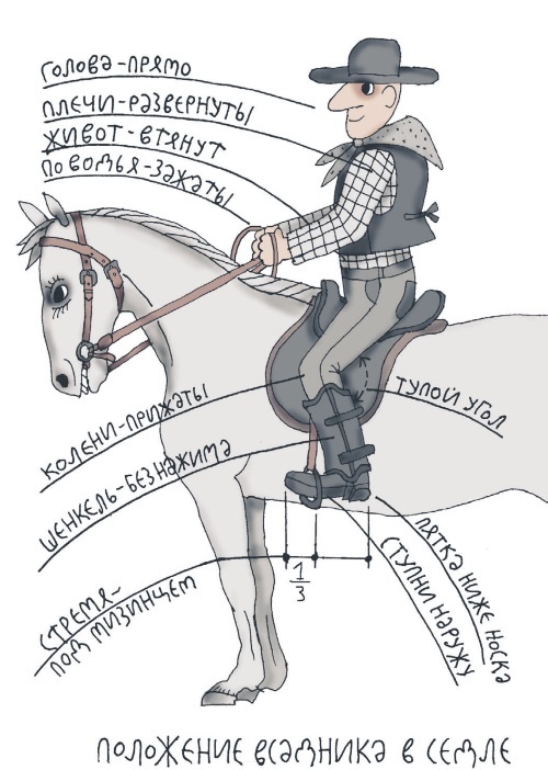 Иллюстрация к книге — Школа верховой езды для начинающих [i_073.jpg]