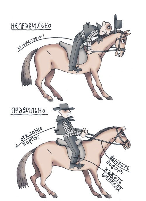 Иллюстрация к книге — Школа верховой езды для начинающих [i_079.jpg]
