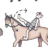 Иллюстрация к книге — Школа верховой езды для начинающих [i_080.jpg]