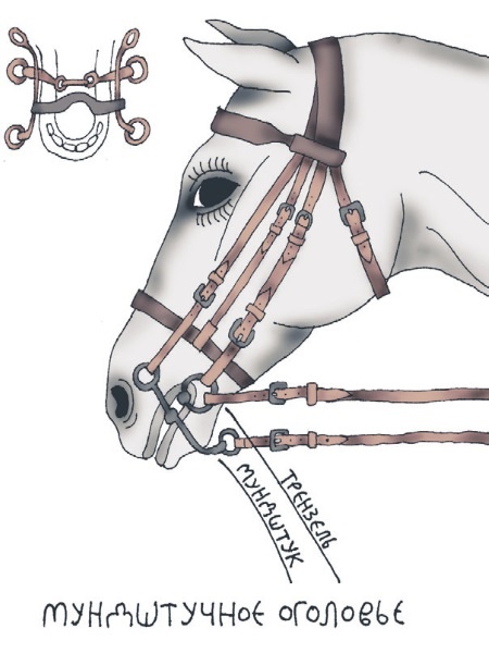 Иллюстрация к книге — Школа верховой езды для начинающих [i_086.jpg]