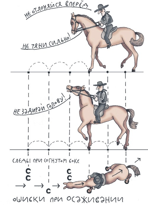 Иллюстрация к книге — Школа верховой езды для начинающих [i_087.jpg]