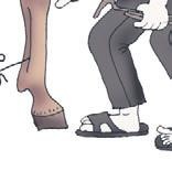 Иллюстрация к книге — Школа верховой езды для начинающих [i_091.jpg]