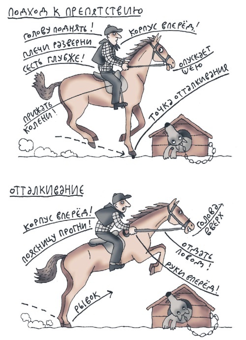 Иллюстрация к книге — Школа верховой езды для начинающих [i_092.jpg]