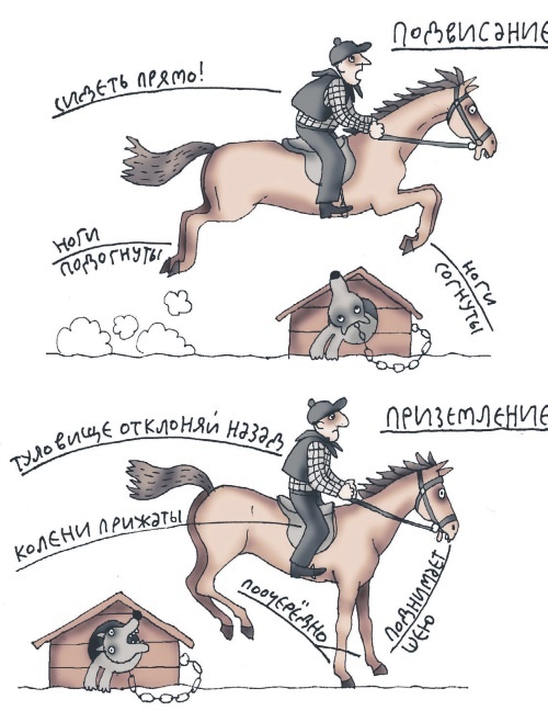 Иллюстрация к книге — Школа верховой езды для начинающих [i_093.jpg]