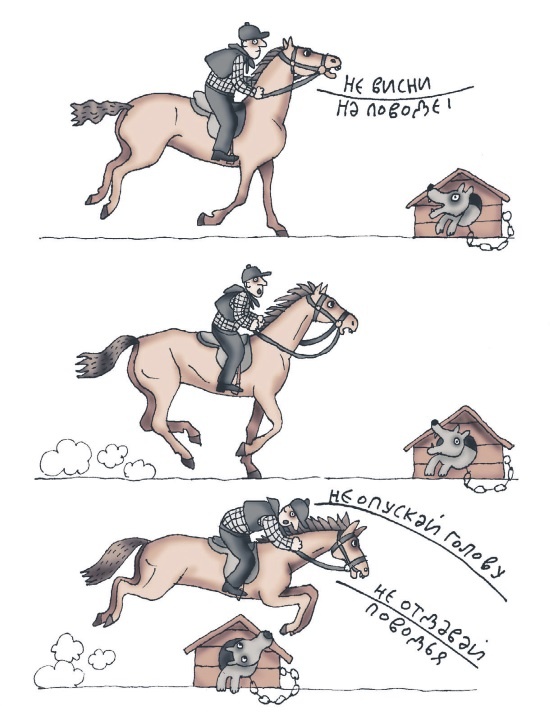 Иллюстрация к книге — Школа верховой езды для начинающих [i_095.jpg]