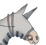 Иллюстрация к книге — Школа верховой езды для начинающих [i_097.jpg]