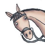 Иллюстрация к книге — Школа верховой езды для начинающих [i_101.jpg]