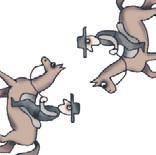 Иллюстрация к книге — Школа верховой езды для начинающих [i_104.jpg]