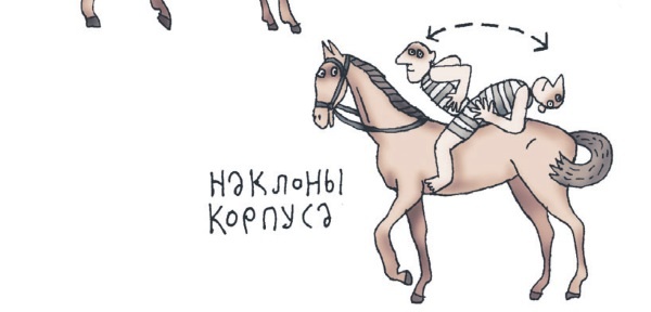 Иллюстрация к книге — Школа верховой езды для начинающих [i_106.jpg]