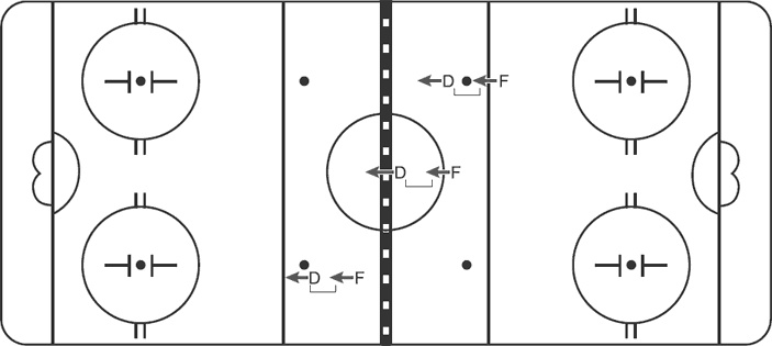 Иллюстрация к книге — Библия хоккейного тренера. Тактика и стратегия от 16 хоккейных топ-тренеров США [i_012.jpg]