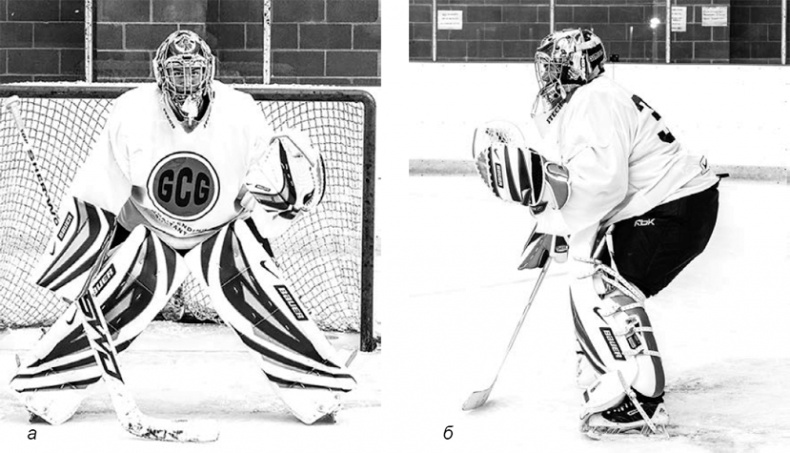 Иллюстрация к книге — Библия хоккейного тренера. Тактика и стратегия от 16 хоккейных топ-тренеров США [i_022.jpg]