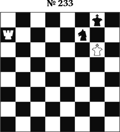 Иллюстрация к книге — Книга начинающего шахматиста [i_627.jpg]