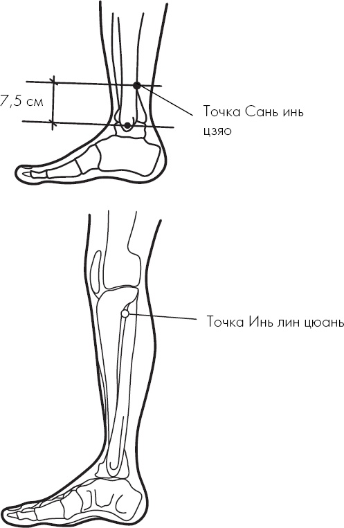 Иллюстрация к книге — Похудение по-тибетски. Как избавиться от лишнего веса, питаясь вкусно [_44.jpg]