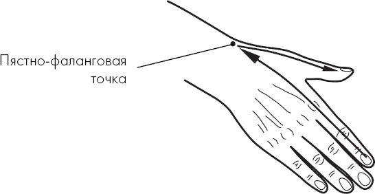 Иллюстрация к книге — Похудение по-тибетски. Как избавиться от лишнего веса, питаясь вкусно [_46.jpg]