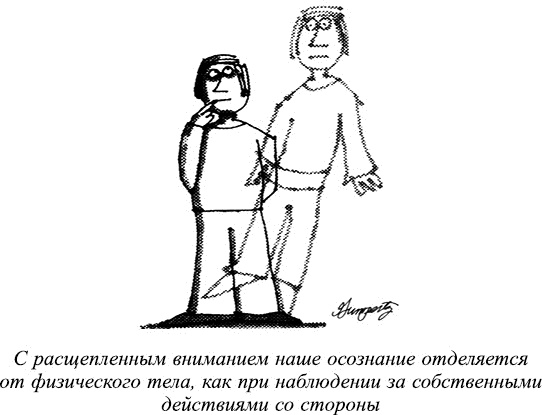 Иллюстрация к книге — Мудрость не-знания. Айкидо - искусство интуитивных решений [_91104.jpg]