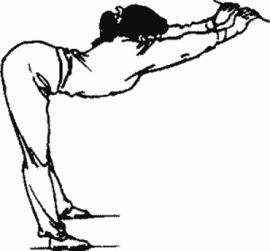 Иллюстрация к книге — Боевая гимнастика. Упражнения китайского ушу для здоровья и самозащиты [i_005.jpg]