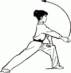 Иллюстрация к книге — Боевая гимнастика. Упражнения китайского ушу для здоровья и самозащиты [i_010.jpg]