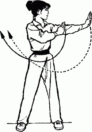 Иллюстрация к книге — Боевая гимнастика. Упражнения китайского ушу для здоровья и самозащиты [i_012.jpg]