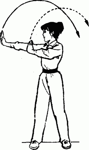 Иллюстрация к книге — Боевая гимнастика. Упражнения китайского ушу для здоровья и самозащиты [i_013.jpg]