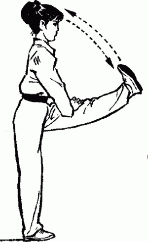 Иллюстрация к книге — Боевая гимнастика. Упражнения китайского ушу для здоровья и самозащиты [i_014.jpg]