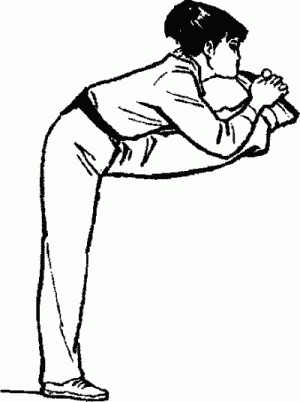 Иллюстрация к книге — Боевая гимнастика. Упражнения китайского ушу для здоровья и самозащиты [i_015.jpg]