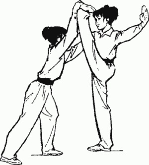 Иллюстрация к книге — Боевая гимнастика. Упражнения китайского ушу для здоровья и самозащиты [i_018.jpg]