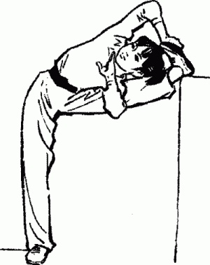 Иллюстрация к книге — Боевая гимнастика. Упражнения китайского ушу для здоровья и самозащиты [i_020.jpg]